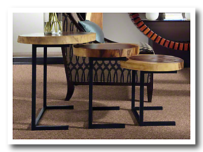 Sws cleartouch carpet savory days